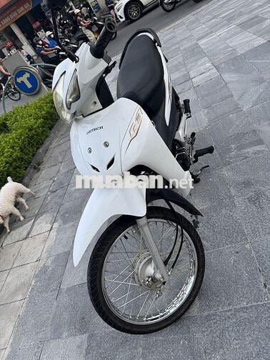 DETECH Wave 50 liên doanh 2021 Trắng