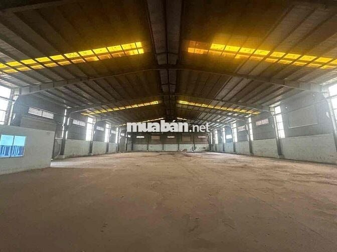 🔴 CHO THUÊ KHO XƯỞNG CỤM KHU CÔNG NGHIỆP QUỐC QUANG CHỦ TRƯƠNG PHÂN BÓ