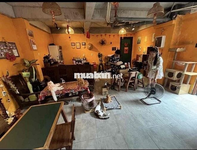 CHÍNH CHỦ CHO THUÊ MBKD NGAY NGUYỄN TRÃI - NVS RIÊNG, LỐI ĐII RIÊNG 