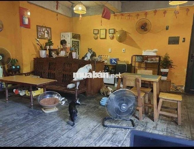CHÍNH CHỦ CHO THUÊ MBKD NGAY NGUYỄN TRÃI - NVS RIÊNG, LỐI ĐII RIÊNG 