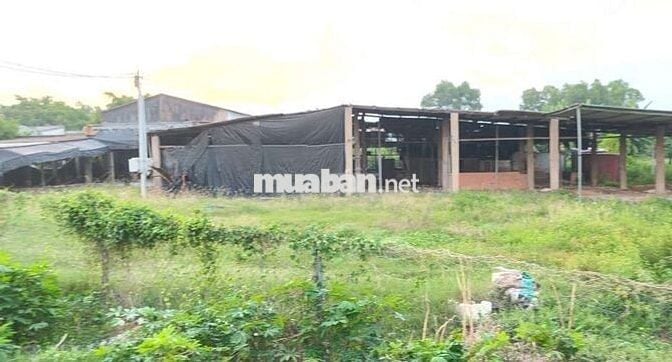 Kho xưởng mặt tiền Tân Hiệp 9-Hóc Môn. 4000m2 (1000m2 sàn). 50tr/tháng