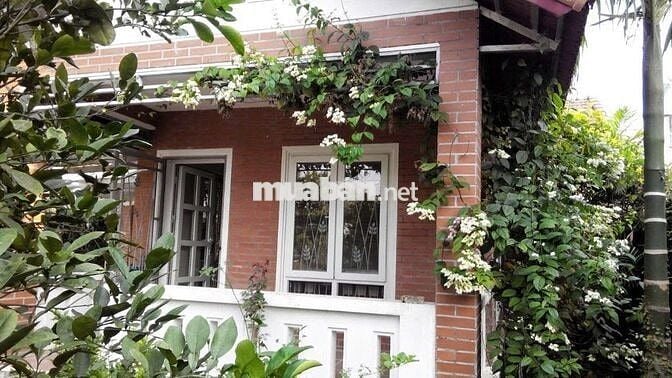 Cho thuê nhà vườn Xuân Khôi, Long Biên, HN