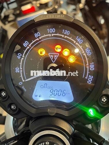 Triumph Speed Twin 2023 Bạc 9006 km