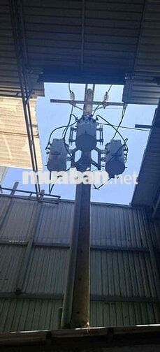Cho Thuê Xưởng Xuân Thới Thượng Hóc Môn