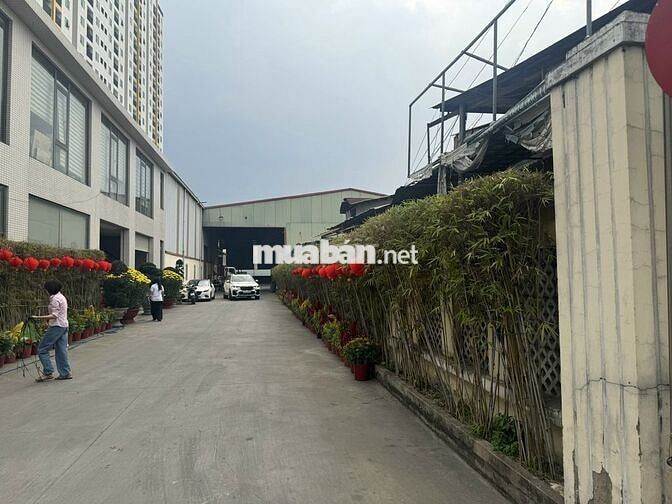 TUYỂN 03 TÀI XẾ DẤU C 