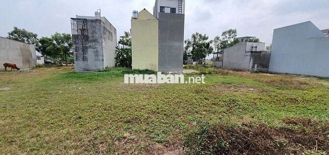 Chính chủ giảm thêm 300tr cho khách thiện chí lô đất 160m2 sổ hồng sẵn