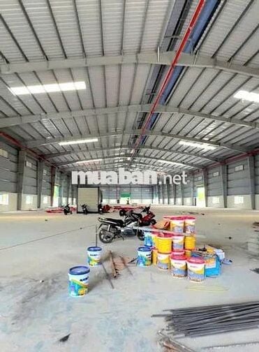 Cho thuê kho xưởng đường quốc lộ 50 ,huyện cần giuộc , Tỉnh Long AN 
