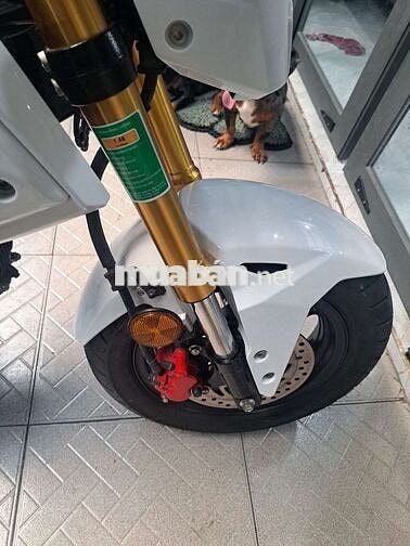 Honda Msx 125cc 2021 Trắng đỏ 9000 km