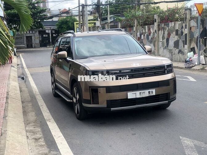 Hyundai Santafe Prestige 2024 Nâu 100%