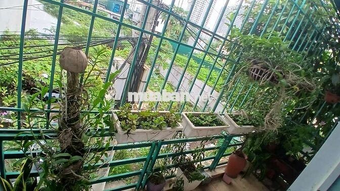 nhà ngõ 2 tầng 3pn 2 wc Định Công Hạ