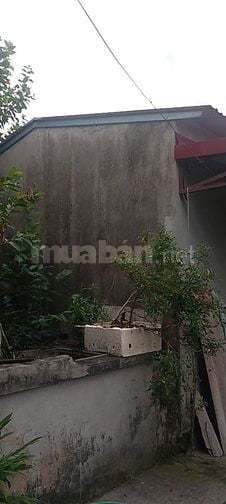 Bán nhà C4 tân dân an lão hải phòng 