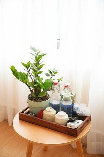🏠 CHO THUÊ 1 PHÒNG NGỦ – NGÕ VẠN KIẾP, P. CỬA NAM, HÀ NỘI, 22m2