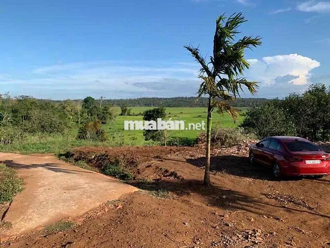 Bán đất 2 mặt tiền view ruộng gần hồ ea nhái thích hợp phân lô