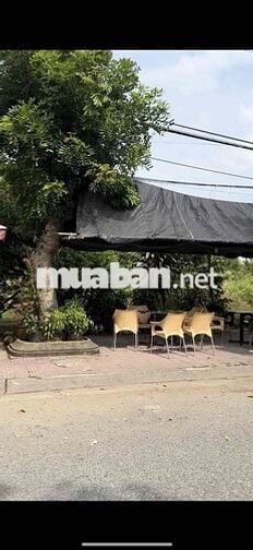 Em Chính Chủ Cần Bán Đất Khu Tái Định Cư Trần Để- Ngay Chợ