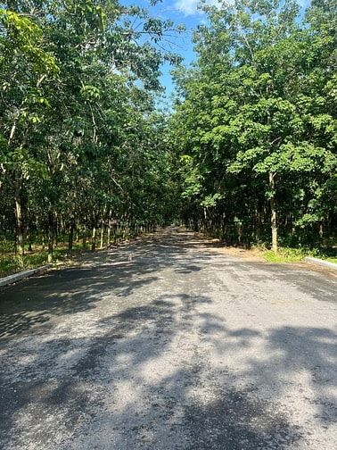 Góp vốn Đầu tư, Hợp tác, nhượng quyền mua bán sĩ Đất nền Nghĩa trang 