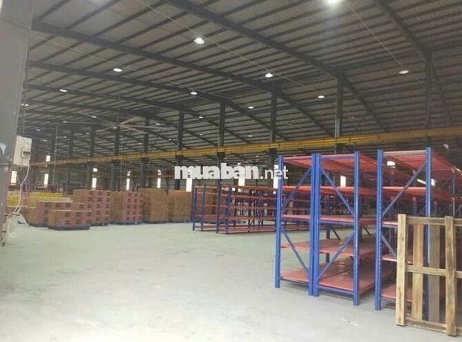 🏭 CHO THUÊ KHO XƯỞNG QUY MÔ LỚN – TÂN PHÚ TRUNG, CỦ CHI, TP.HCM