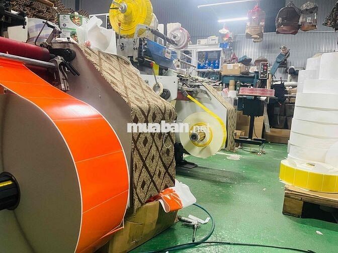 Tuyển nv trông máy, đóng gói sp