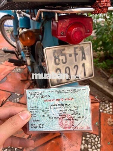 Honda Dame 78 49cc Xanh