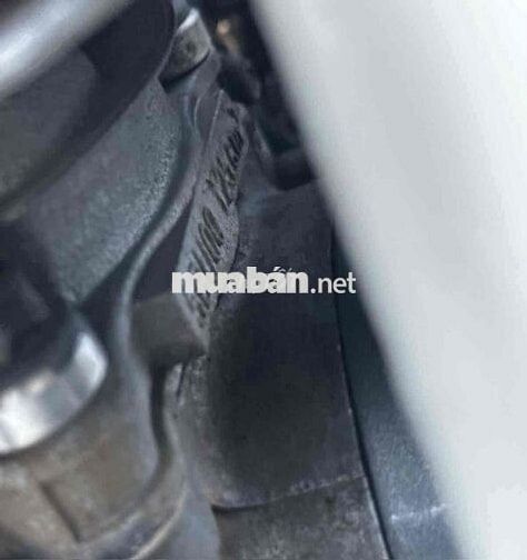 Yamaha Ya cá mập Đã sử dụng Vàng, Trắng