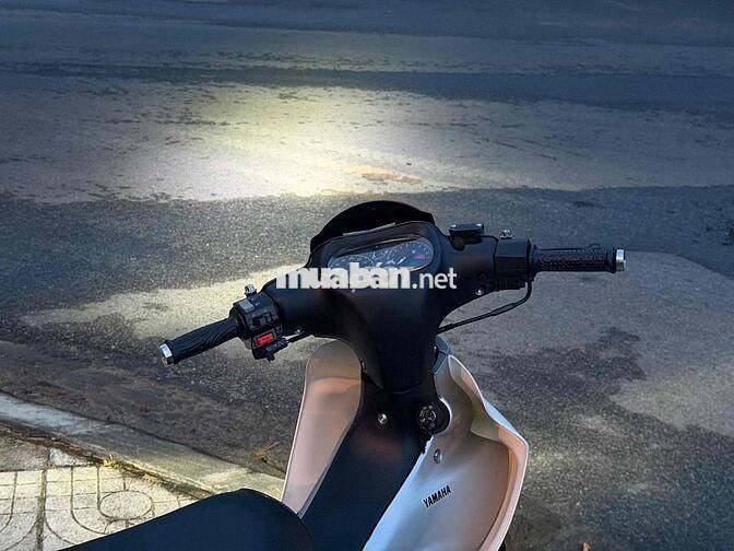 Yamaha Ya cá mập Đã sử dụng Vàng, Trắng