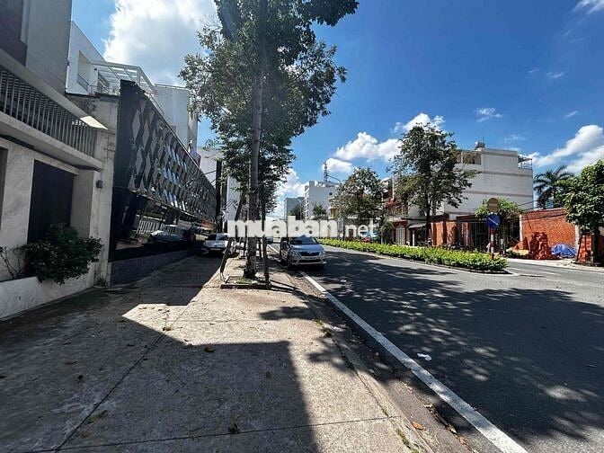 Cho Thuê 100m2 Đất Trống Đường Hoàng Văn Thụ, Chánh Nghĩa, Thủ Dầu Một