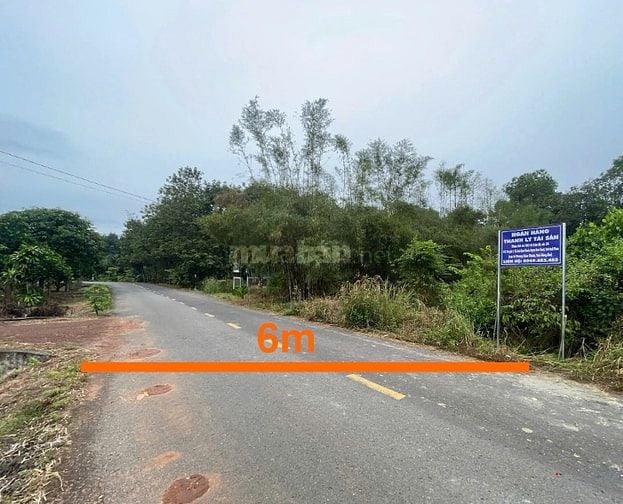 Công ty Đấu giá hợp danh Lam Sơn Sài Gòn THÔNG BÁO ĐẤU GIÁ TÀI SẢN