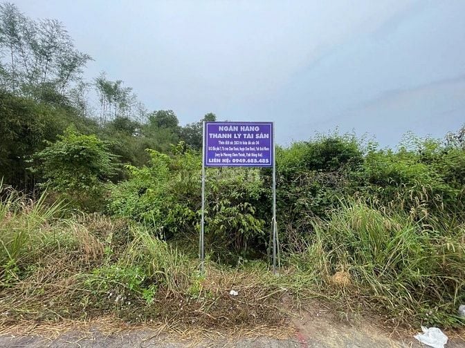 Công ty Đấu giá hợp danh Lam Sơn Sài Gòn THÔNG BÁO ĐẤU GIÁ TÀI SẢN