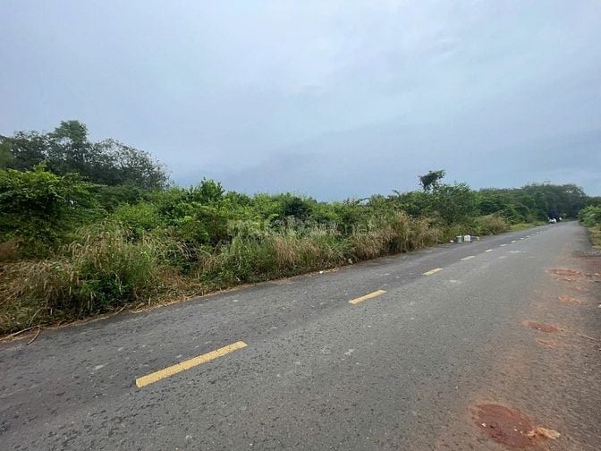 Công ty Đấu giá hợp danh Lam Sơn Sài Gòn THÔNG BÁO ĐẤU GIÁ TÀI SẢN