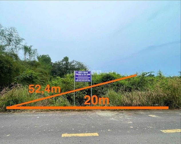 Công ty Đấu giá hợp danh Lam Sơn Sài Gòn THÔNG BÁO ĐẤU GIÁ TÀI SẢN