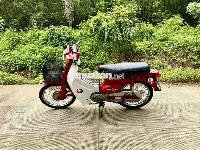 Honda DD70 Đỏ Trắng