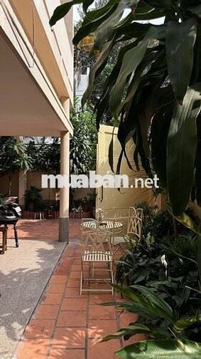 HXH NGUYỄN TRỌNG TUYỂN QPN - DT: 12X20M, 500M², SÂN VƯỜN ĐẸP