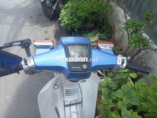 Honda Cup 84 50cc Xanh, Trắng Đã sử dụng