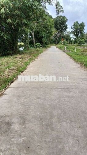 Bán đất kv thới bình phường Thới An Đông giáp ranh Long Hòa lộ ô tô 4m