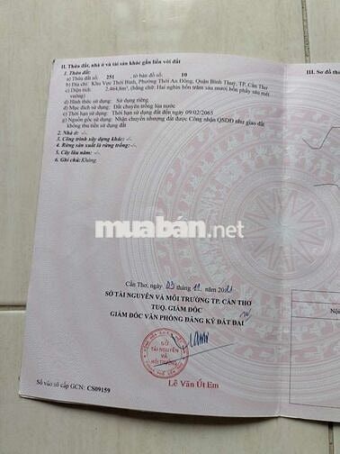 Bán đất kv thới bình phường Thới An Đông giáp ranh Long Hòa lộ ô tô 4m