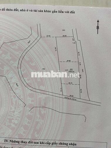 Bán đất kv thới bình phường Thới An Đông giáp ranh Long Hòa lộ ô tô 4m
