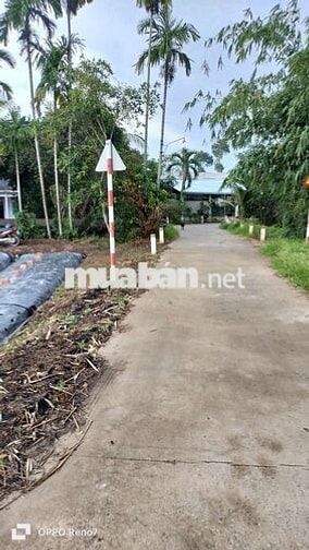 Bán đất kv thới bình phường Thới An Đông giáp ranh Long Hòa lộ ô tô 4m
