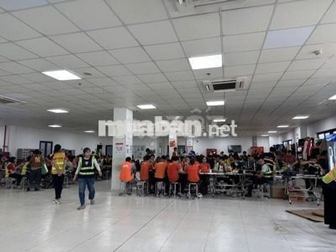 XUYÊN Á - THỜI VỤ KHO SÀN SỌP PI - LƯƠNG NGÀY 550K