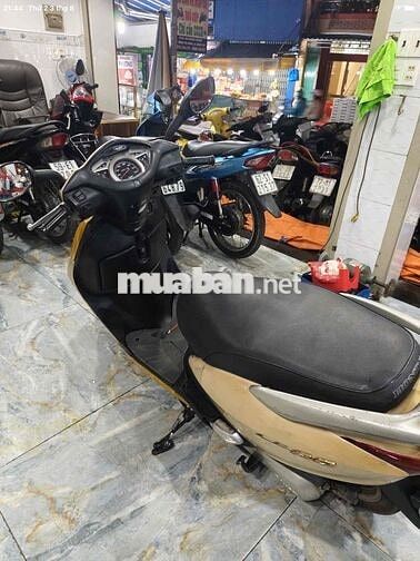 Honda Lead 2009 Vàng kem