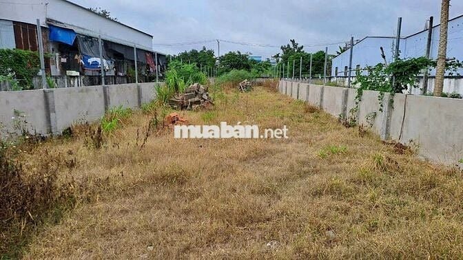 Đất rộng 240m2 thổ cư Đường Võ Thị Nhúa, Tân Phú Trung SHR Giá 930tr