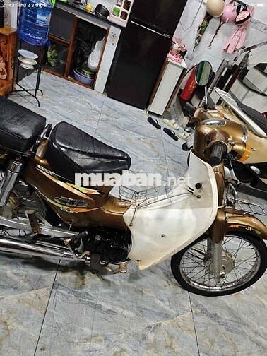 Cub 50cc 2014 Vàng đồng cho học sinh đi học