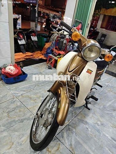 Cub 50cc 2014 Vàng đồng cho học sinh đi học