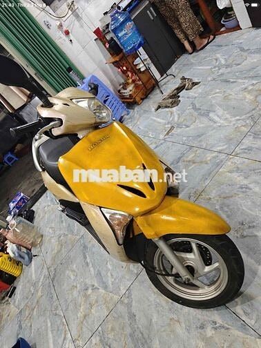 Honda Lead 2009 Vàng kem