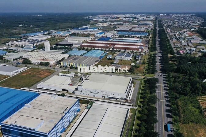 1500m2 sẵn 700m2 đất thổ cư Dầu Tiếng - TP Hồ Chí Minh giá chỉ 500TR