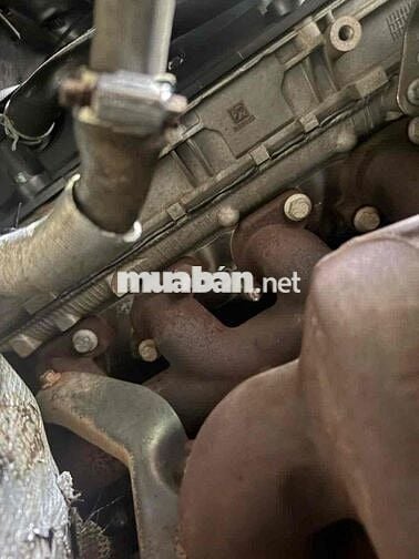 Ford Transit 2018 Máy dầu 16 chỗ Vàng cát