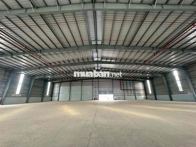 🔴 BÁN CHO THUÊ KCN LONG AN CHỦ TRƯƠNG PHÂN BÓN XI MẠ HÓA CHẤT