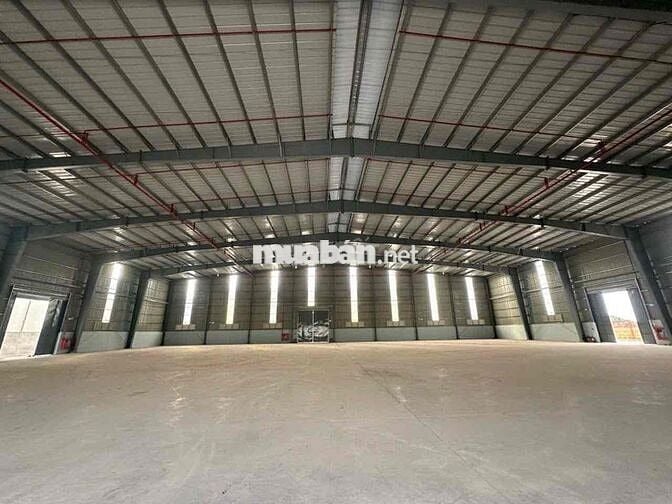 🔴 BÁN CHO THUÊ KCN LONG AN CHỦ TRƯƠNG PHÂN BÓN XI MẠ HÓA CHẤT
