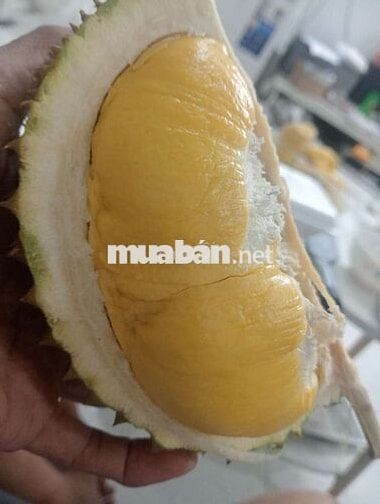 Tuyển người trông coi nhà cửa