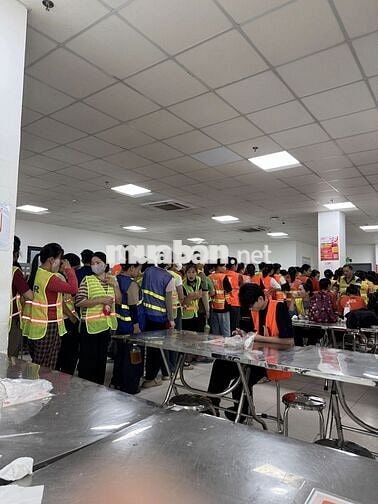 HÀ NỘI - TUYỂN NAM THỜI VỤ KHO HÀNG SÓP PE