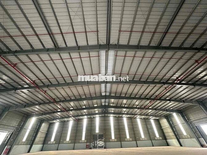 🔴 BÁN CHO THUÊ KCN LONG AN CHỦ TRƯƠNG PHÂN BÓN XI MẠ HÓA CHẤT
