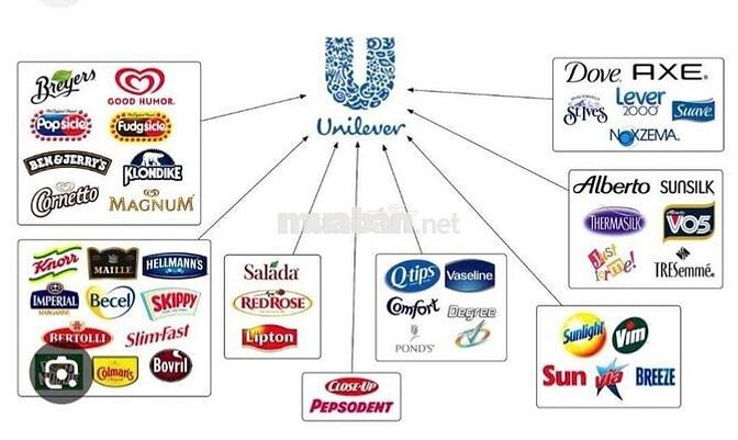 GIÁM SÁT TRƯNG BÀY UNILEVER KÊNH GT BẾN TRE